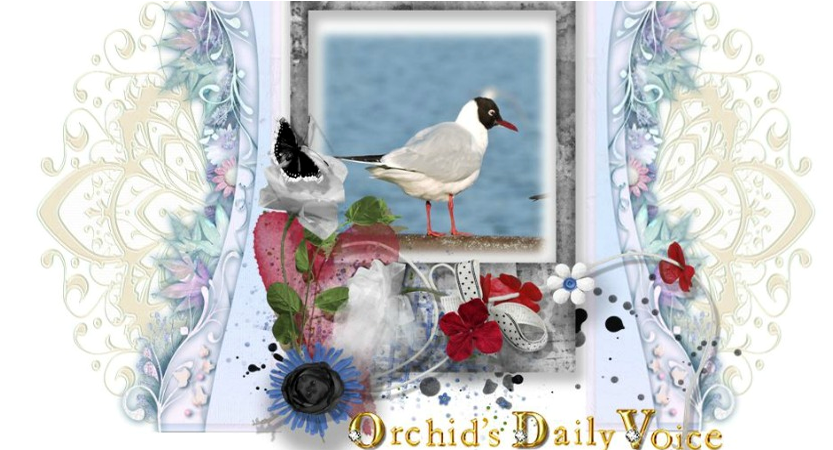 Quilting (855x449), Png Download