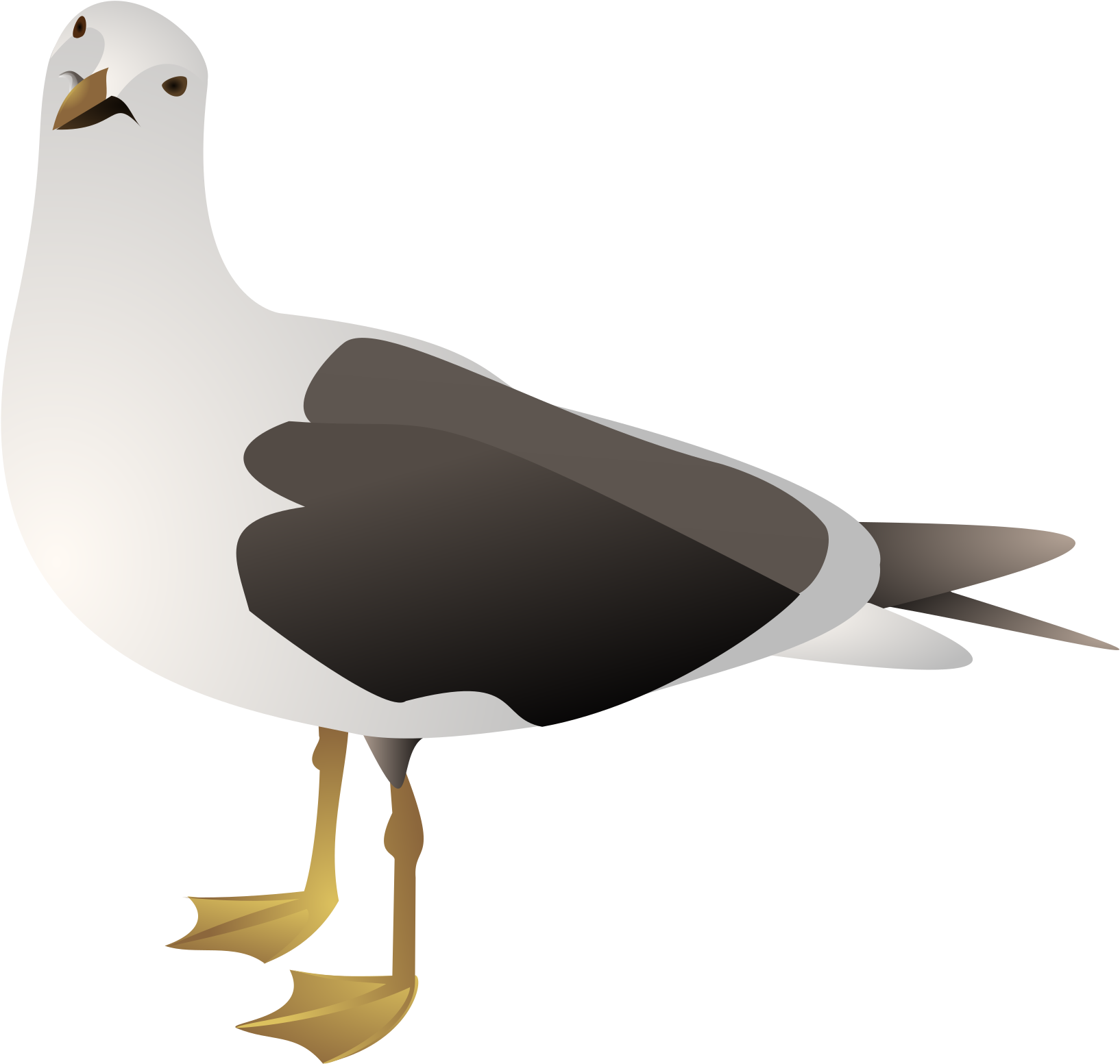 Clipart Seagull - Gulls Clipart (2400x1697), Png Download