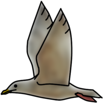 Gentoo Penguin (620x420), Png Download