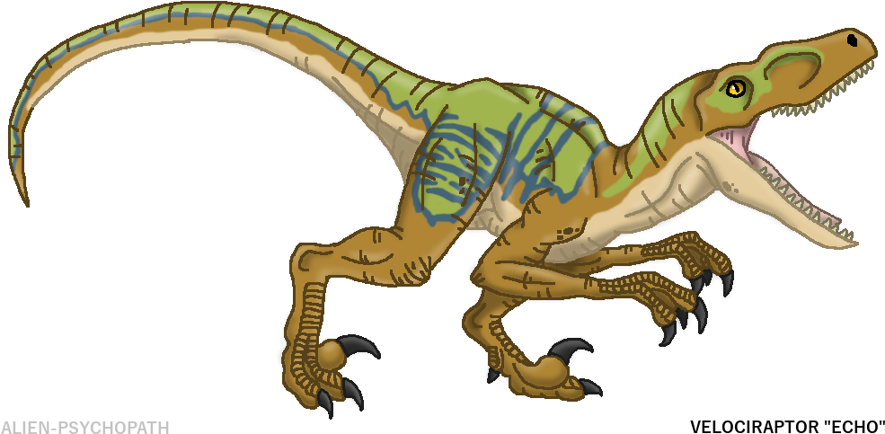 Jurassic World - Clipart Velociraptor Png (986x500), Png Download