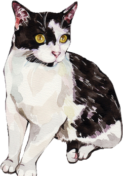 Concept Seven - Illustration (360x360), Png Download