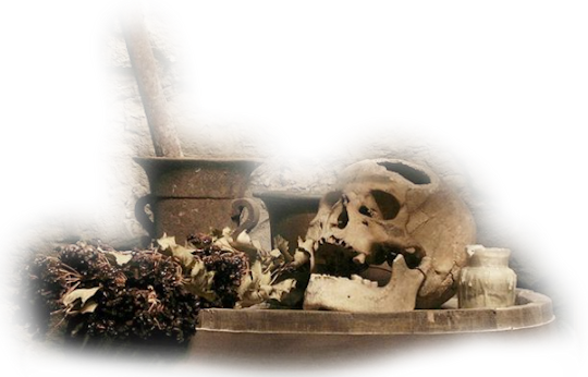 Potion-007 - Still Life Photography (540x346), Png Download