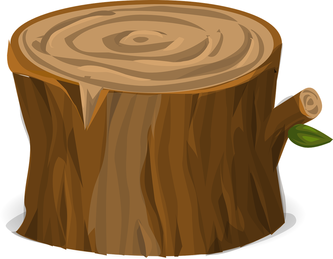 Forest, Tree Trunk Nature Environment Chopped Bark - Tree Stump Transparent Background (1280x995), Png Download