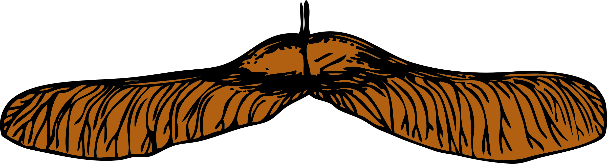 This Free Icons Png Design Of Maple Seed (2400x650), Png Download