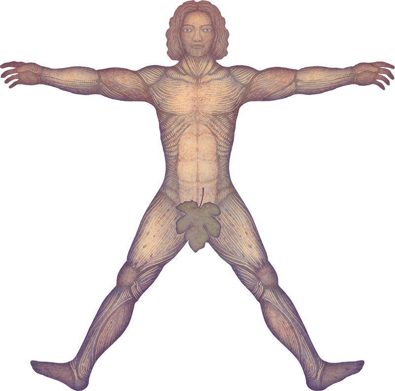 Illustration For A Poem Featured In The Grouch Publishing - Male (800x792), Png Download