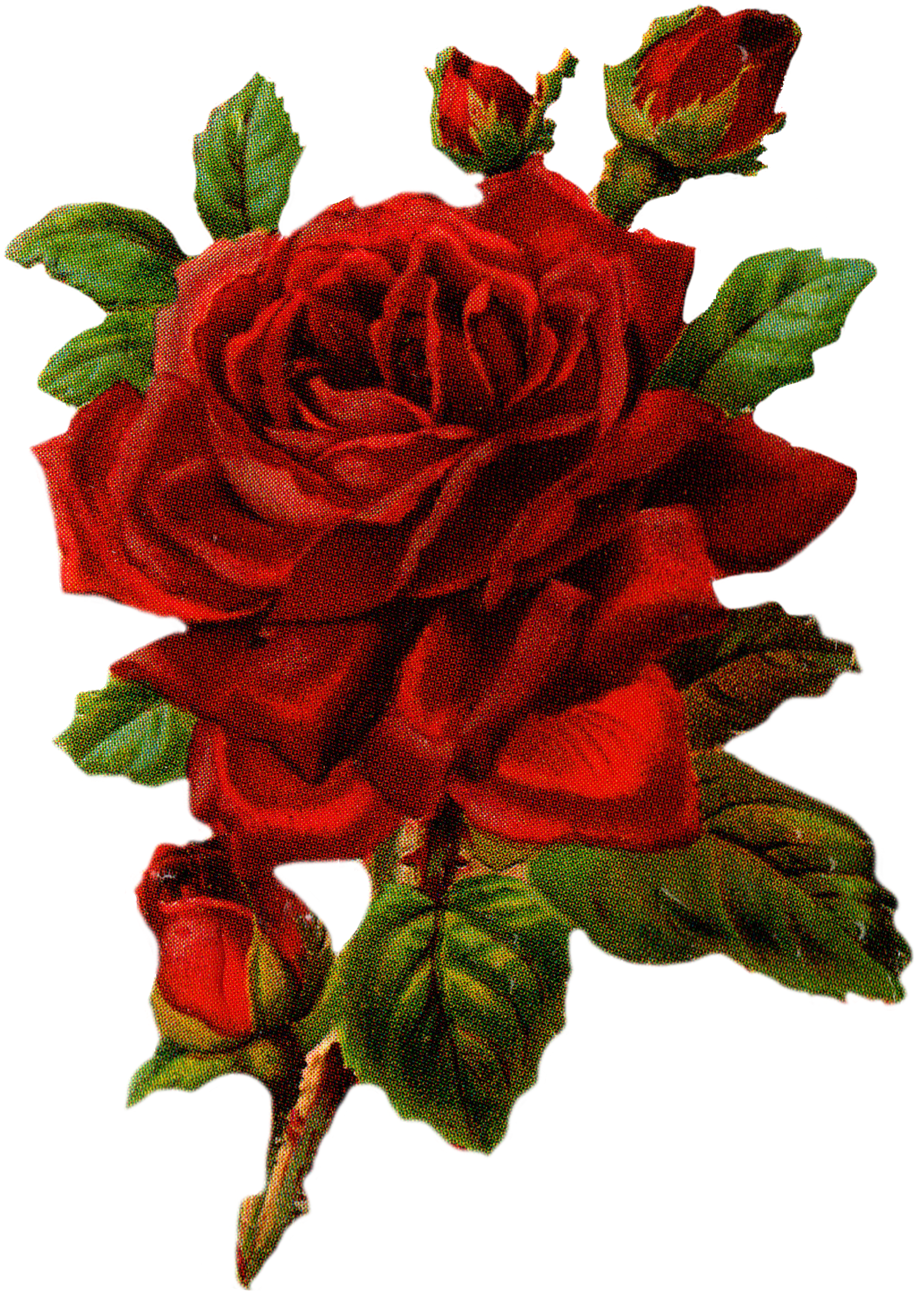 Be - Sniff - Blumen: Nostalgische Rosen - Taschentücher (2550x3300), Png Download