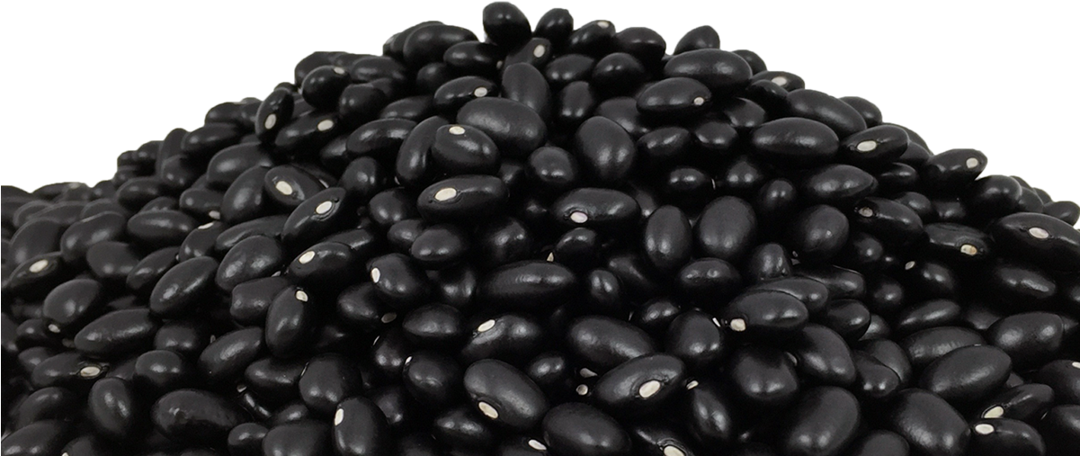 Seeds - Pebble (1200x600), Png Download