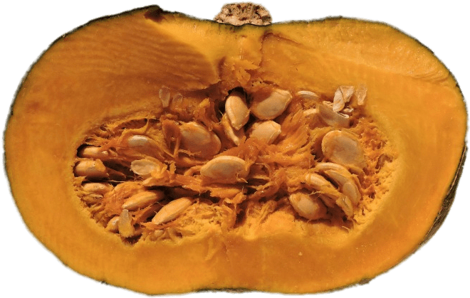 Half Pumpkin With Visible Seeds - Pumpkin Seeds (700x482), Png Download