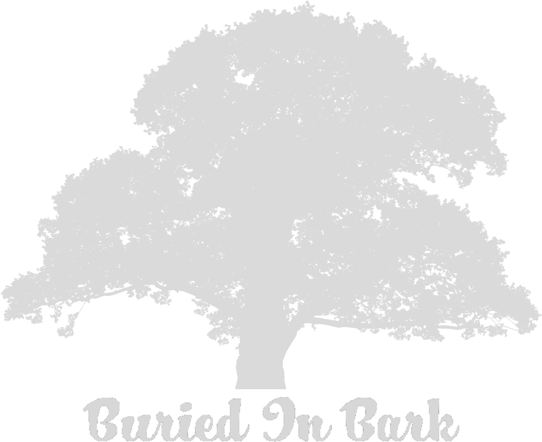 About - Old Oak Tree Silhouette (1775x1622), Png Download
