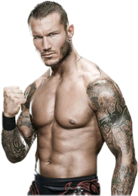 Wwe Superstars Randy Orton (480x677), Png Download
