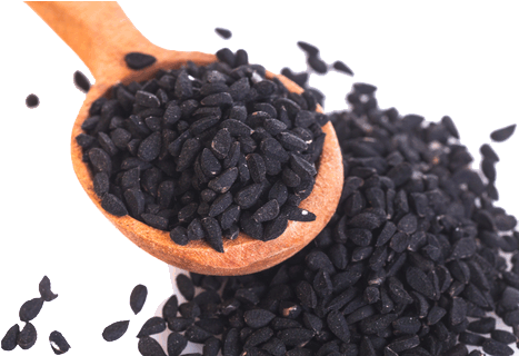 Black Seed Oil - Black Seed In Malay (480x319), Png Download