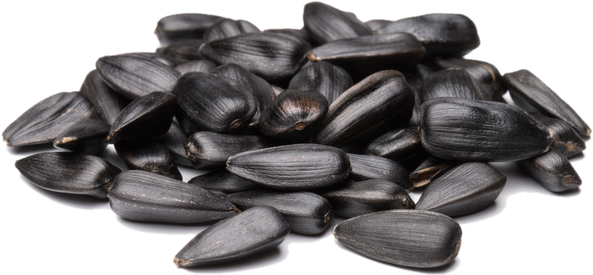 Sunflower Seeds Png - Sunflower Seed (864x401), Png Download