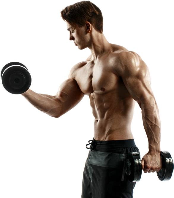 Are All Trainers Certified - Bodybuilding (613x687), Png Download