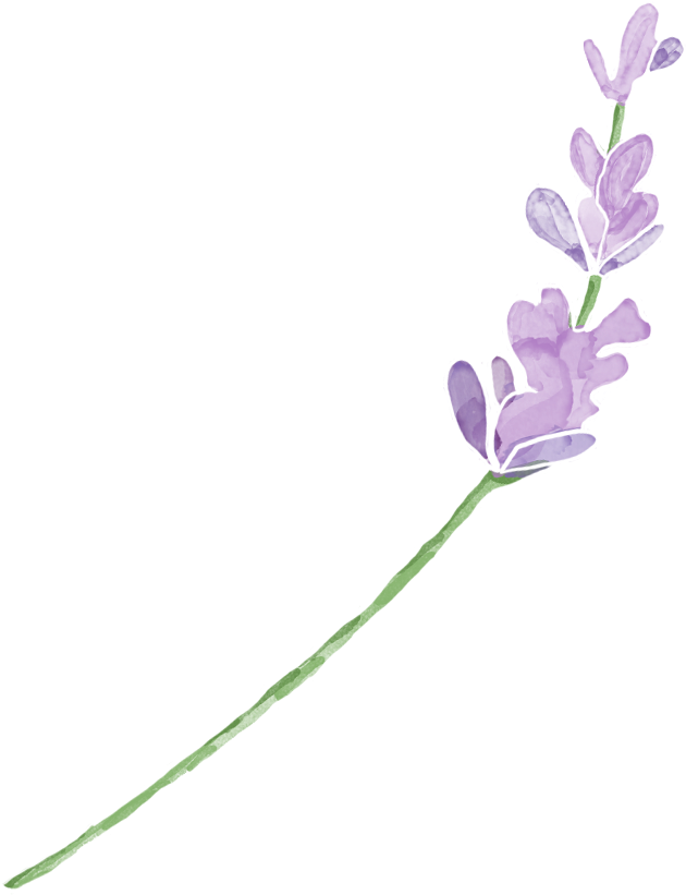 Mira & Graphic Watercolor & Swirls Example Image - Watercolor Painting (1000x1000), Png Download