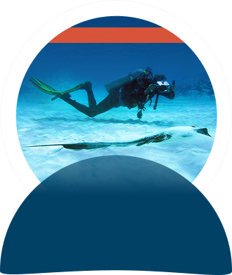 Included - Sea (330x391), Png Download