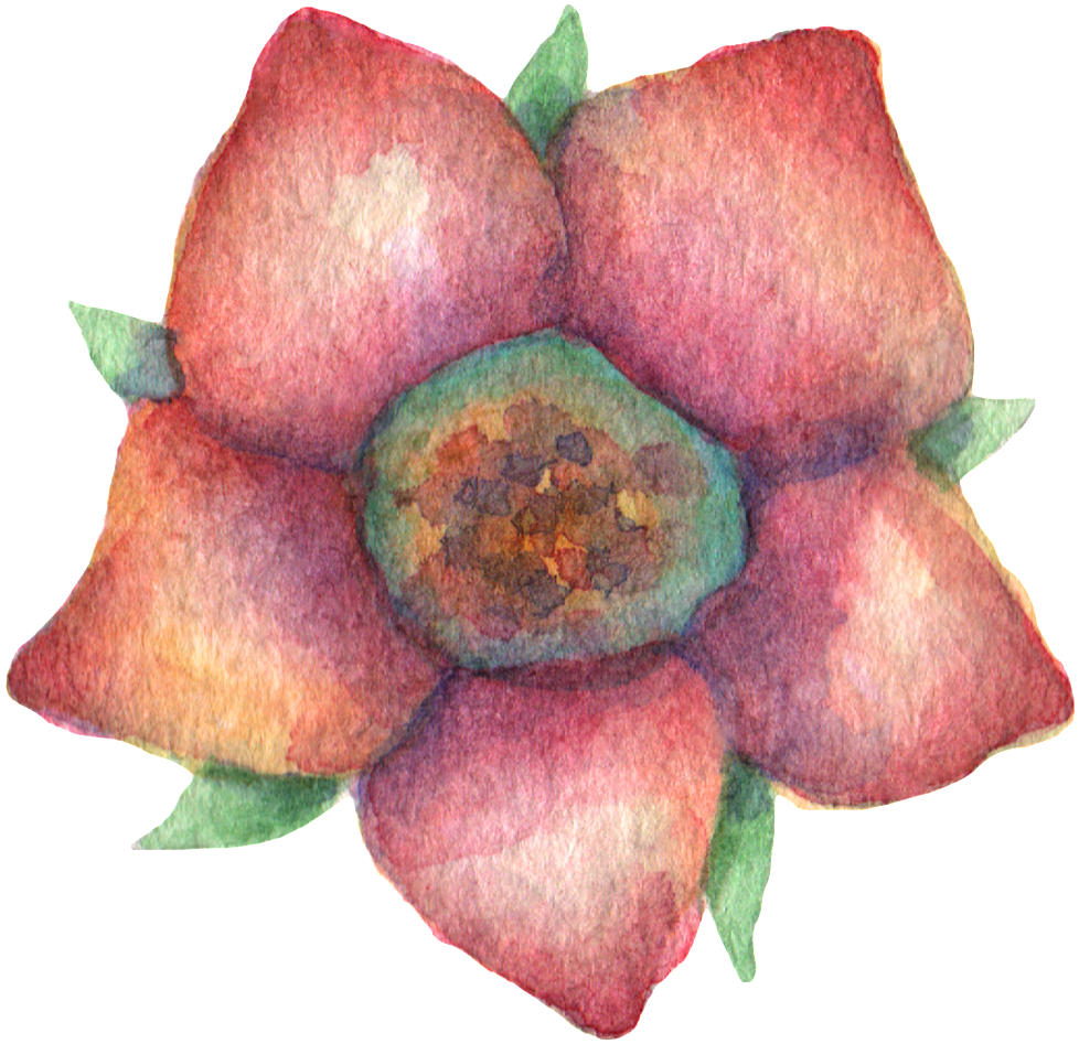 Hand Painted Dark Red Flowers Watercolor Transparent (1024x991), Png Download