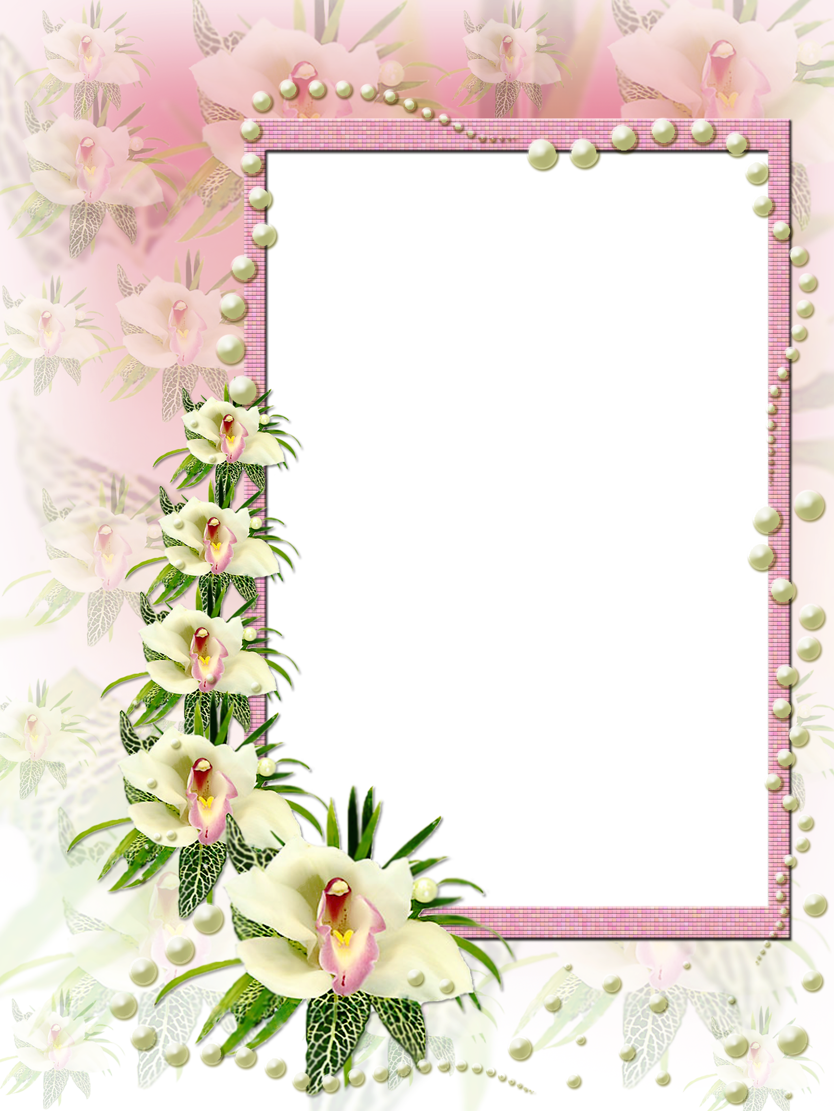 View Full Size (1700x2266), Png Download
