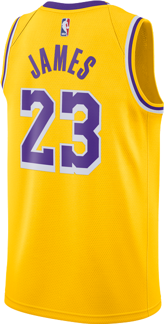 Los Angeles Lakers Youth Lebron James Icon Edition - Lebron T Shirt Lakers (500x667), Png Download