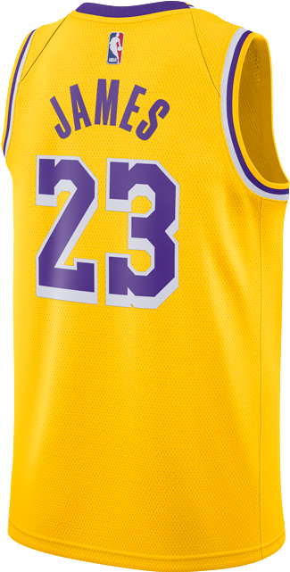 lebron james t shirt youth