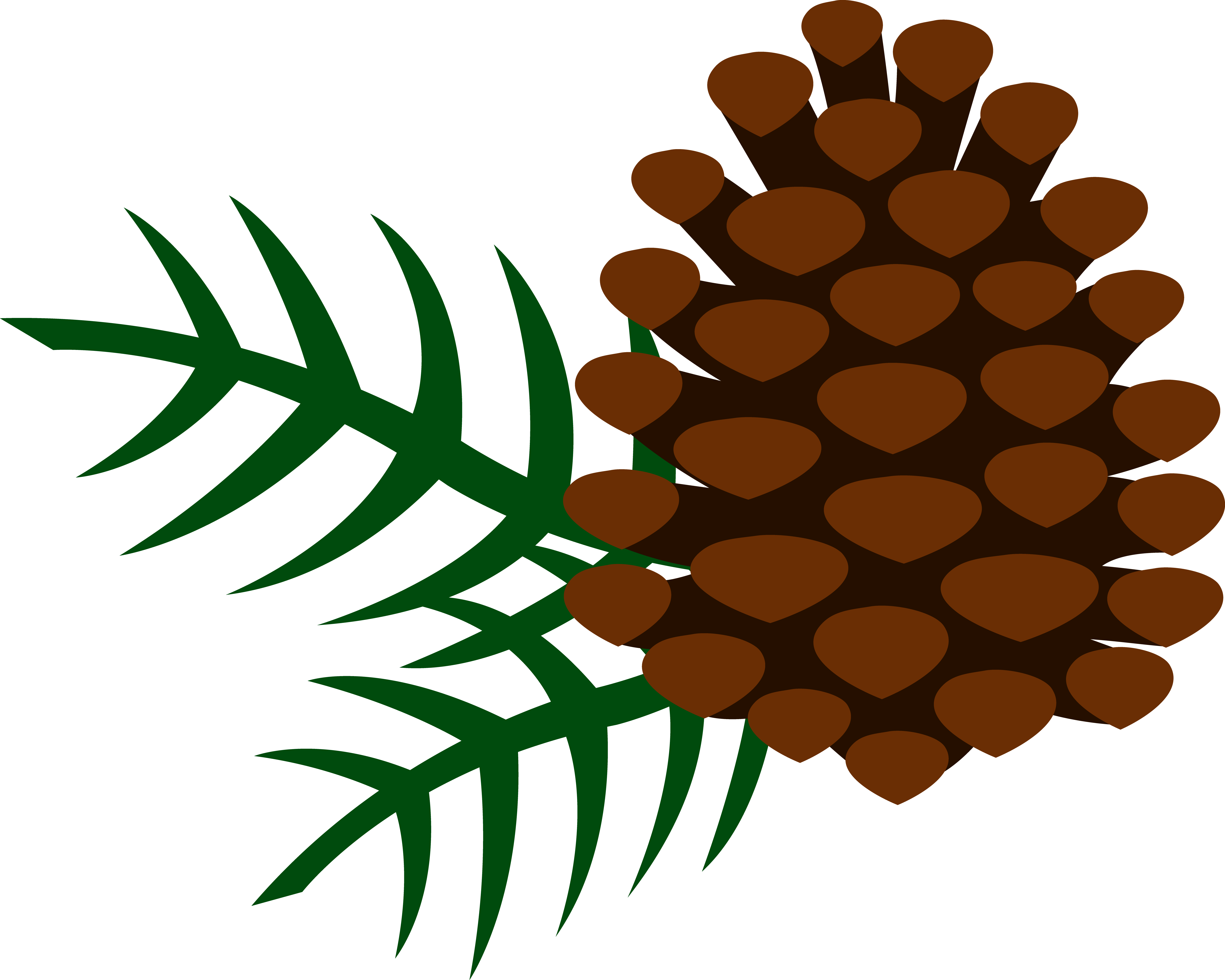 Pine Cone Clip Art - Clip Art Pine Cone (6543x5237), Png Download