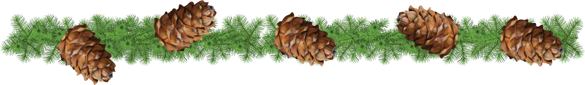 Space Them Out However You Want - Shortstraw Pine (1920x400), Png Download