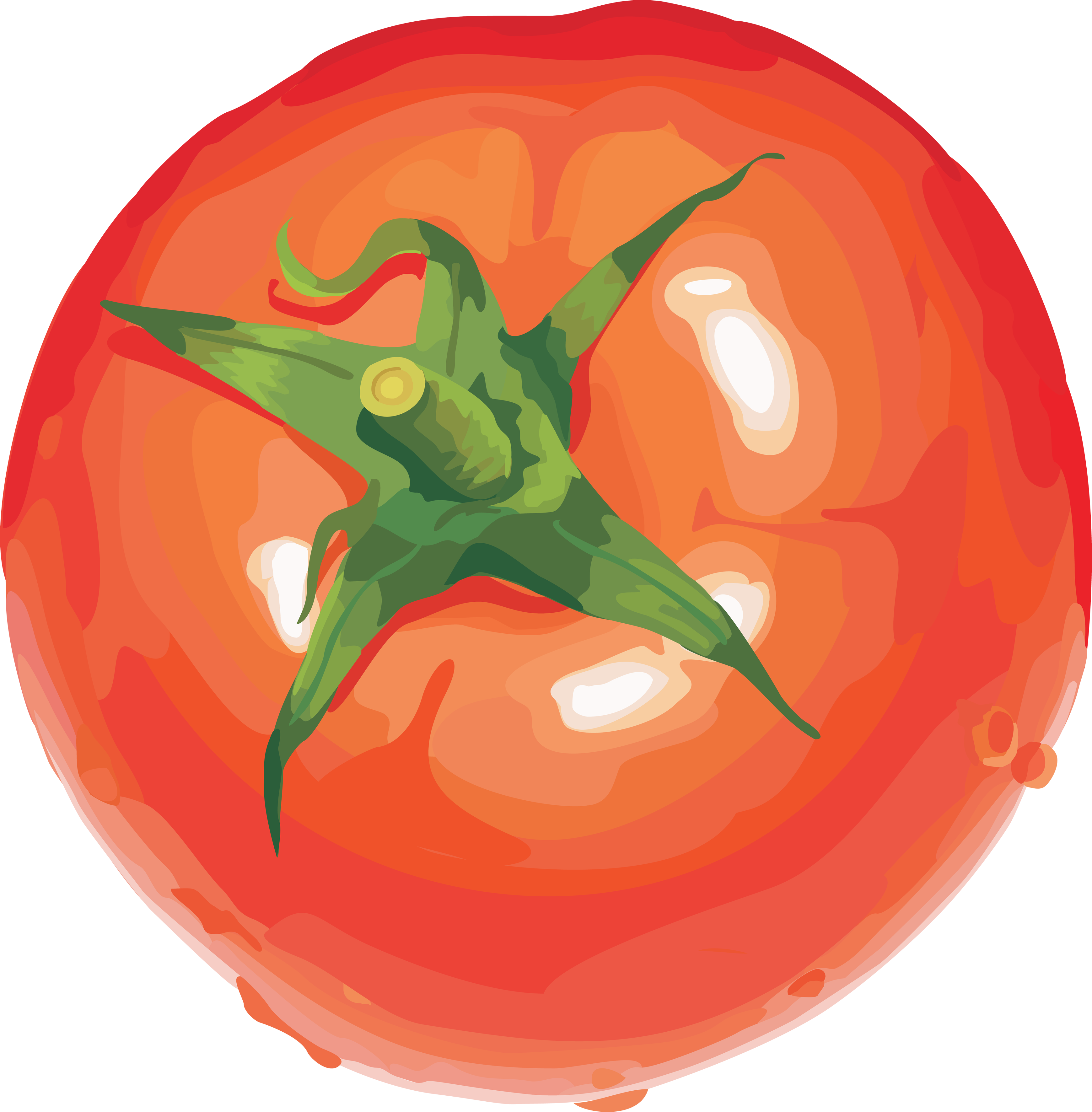 Red Tomatoes Png Image - Clip Art Vegetables (3479x3543), Png Download