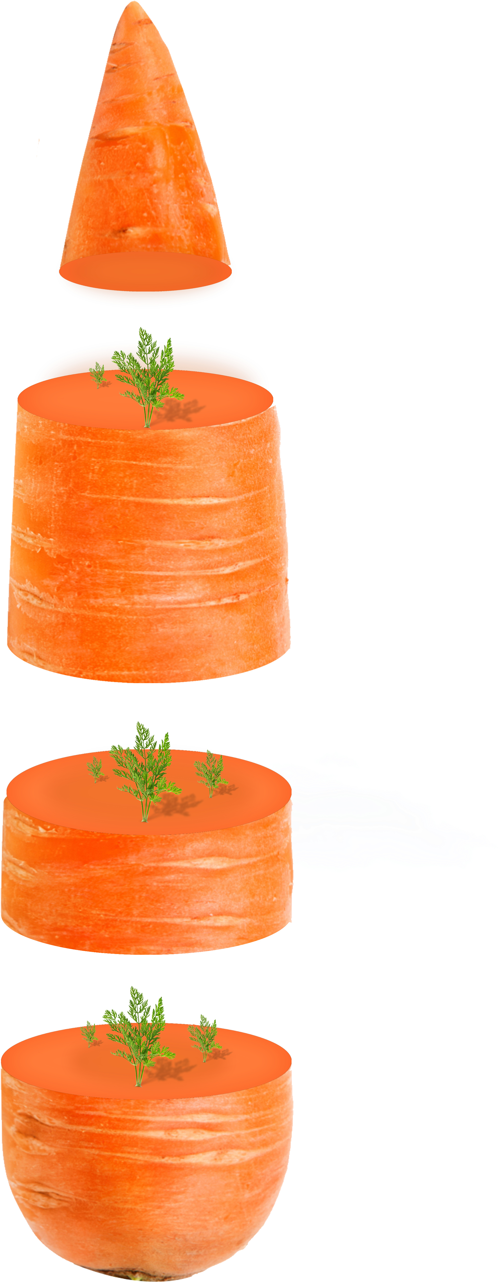 Carrot Vegetable Orange Computer - Carrot (3094x6258), Png Download