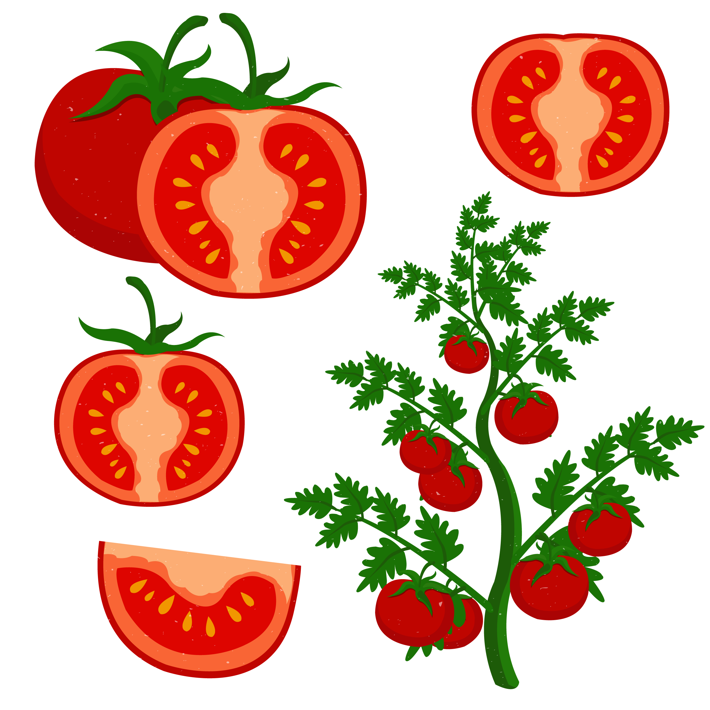 Clip Art Freeuse Cherry Tomato Clip Art Grow Tomatoes (2480x2480), Png Download