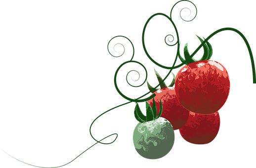 Tomato, Fruit, Food, Healthy, Fresh - Fruit (518x340), Png Download