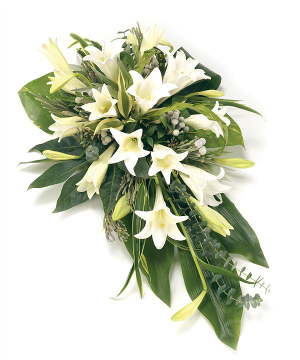 Whiteflowers - Single Ended Spray (600x720), Png Download