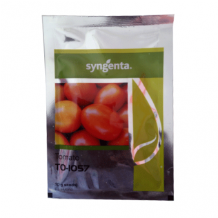Tomato - Tomato Seed Packet Syngenta (600x315), Png Download