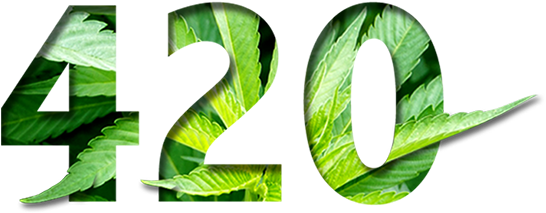 Smoke On The Water - Plant Pathology (556x224), Png Download