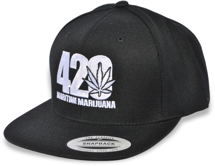 Onitsuka Tiger Cap (500x369), Png Download