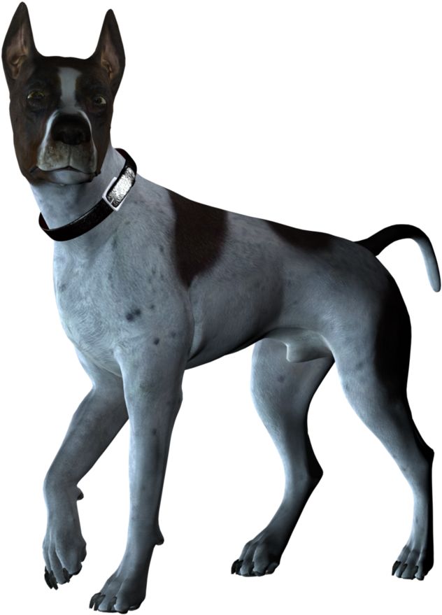 Perro-grande - Pet Dog Png Stock (885x903), Png Download