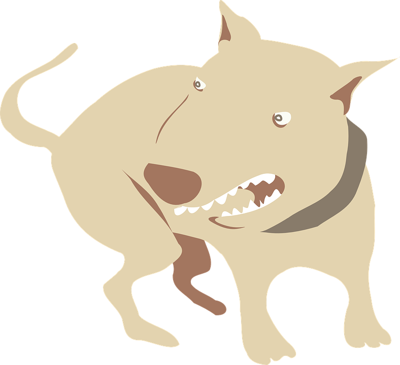 ¿por Qué Mi Perro Muerde La Escalera De La Agresión - Perro Enojado Png (788x720), Png Download