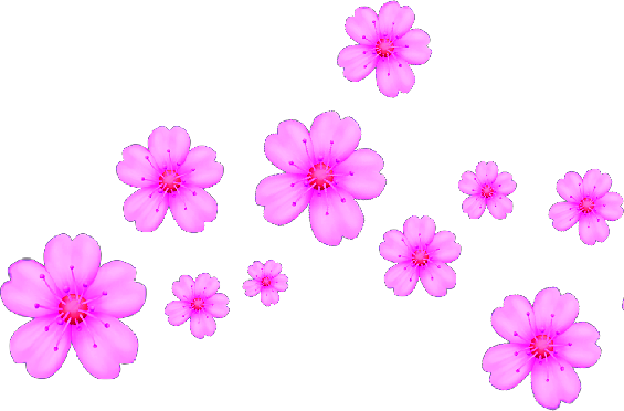 Report Abuse - Cute Transparent Stickers Flowers (565x372), Png Download