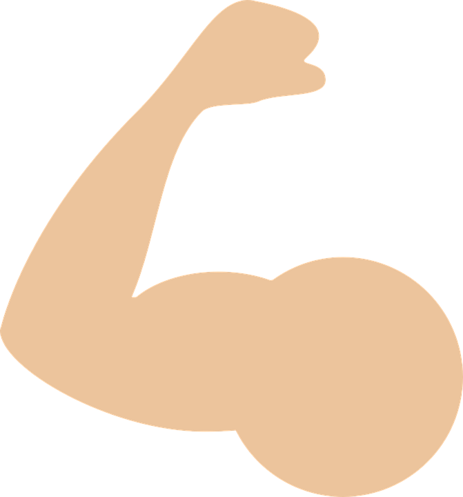 Icono Musculo (671x720), Png Download