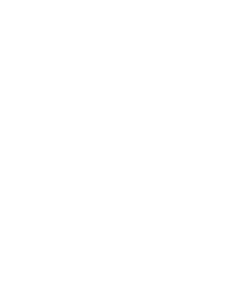 White Four Leaf Clover Png Download - Four Leaf Clover White (842x971), Png Download
