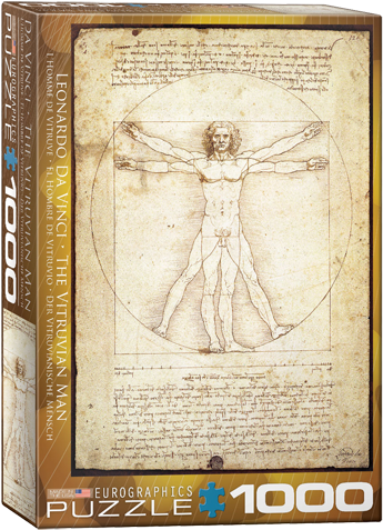 Vitruvian Man - Symmetry In The Body (500x500), Png Download