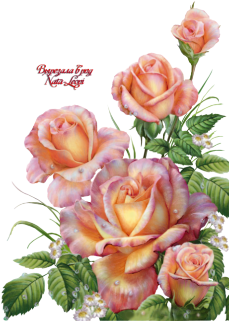 0 F3902 4f427529 Orig - Открытки С Днем Ангела Ольги (499x700), Png Download