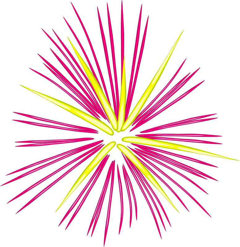 Fireworks Free Png Image - New Years Fireworks Clipart (777x800), Png Download
