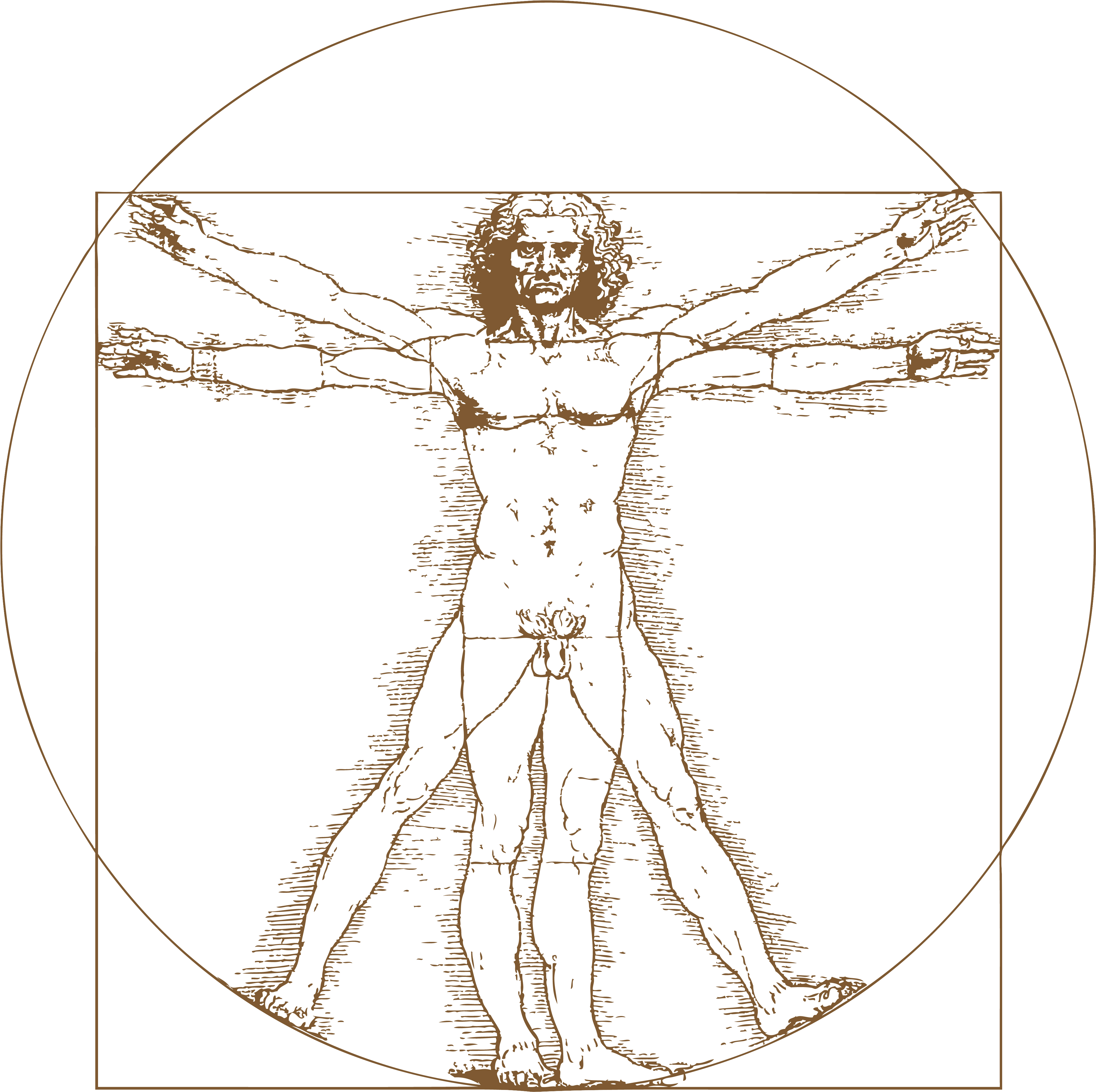 Certificates - Leonardo Da Vinci Vitruvian Man Tattoo (4488x4488), Png Download