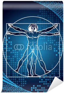Download Leonardo’s Vitruvian Man Wall Mural - Digital Vitruvian Man