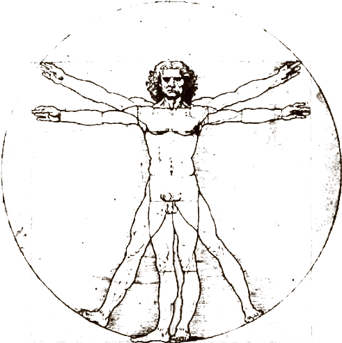 Version 1 - - Proportions Of The Human Figure (the Vitruvian Man) (500x500), Png Download