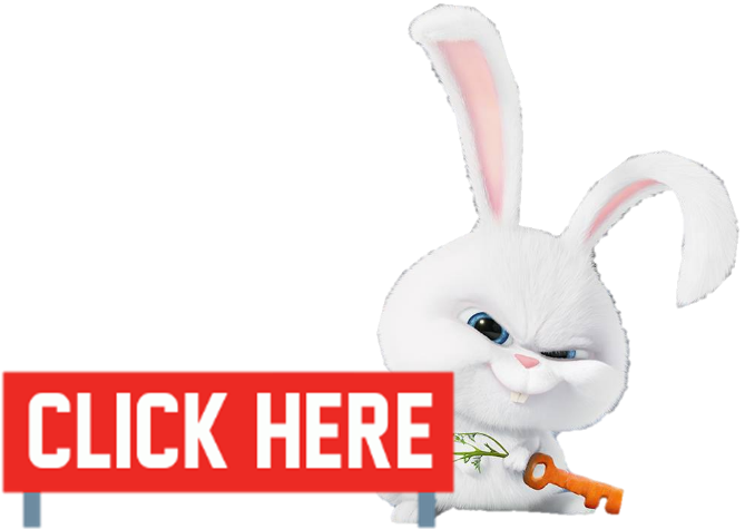 Svg Stock Image Click Png The Secret Life Of - Snowball Secret Life Of Pets Transparent (669x475), Png Download