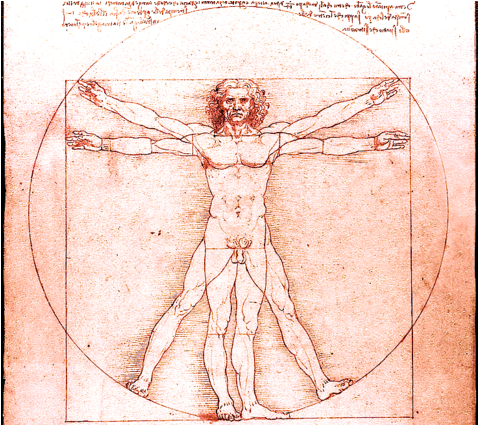 Image - Leonardo Da Vinci (615x424), Png Download