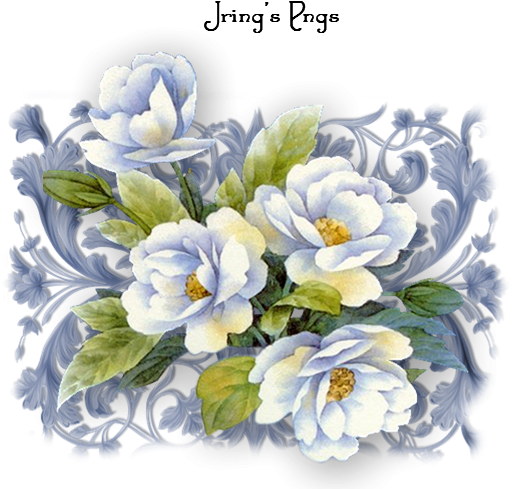 Posted By Jring At - Gif (521x504), Png Download