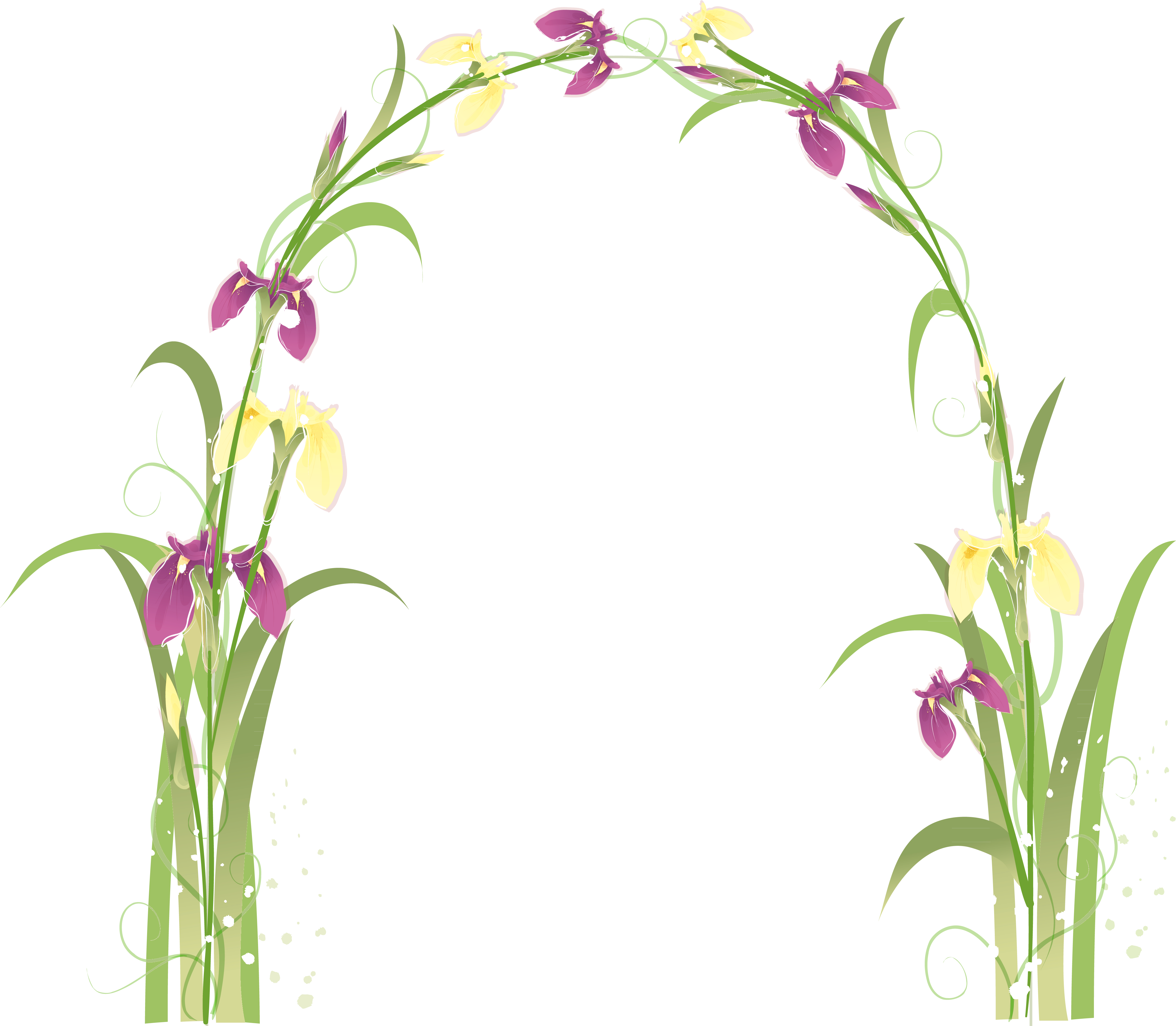 Transparent Floral Arch Png Picture - Flower (4736x4180), Png Download
