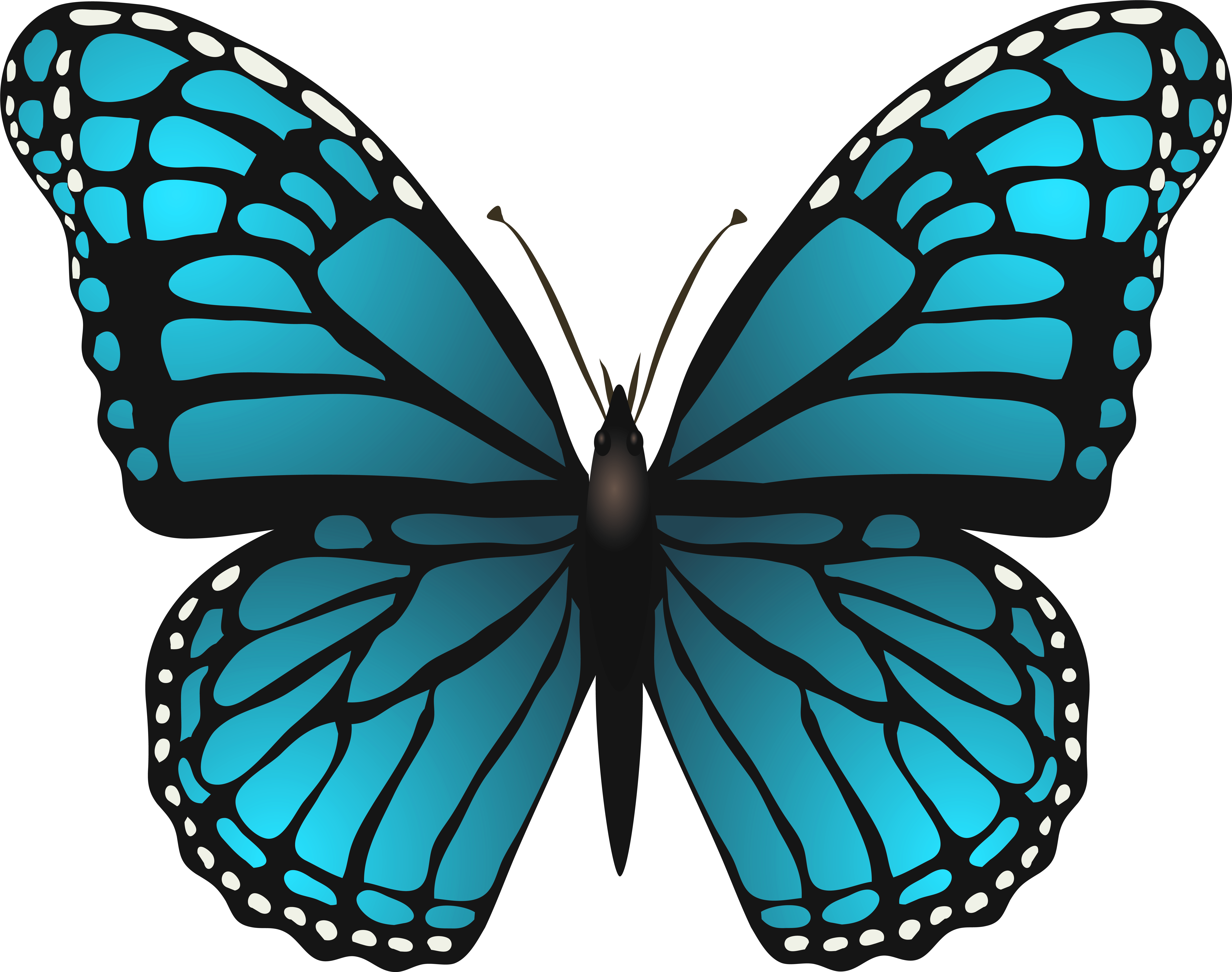 Blue Butterfly Png (7614x6007), Png Download