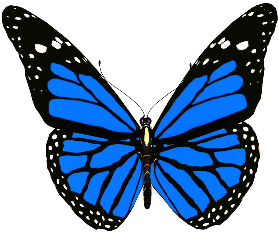 Download Blue Butterfly Png Pic Butterfly Png PNG Image with No Background